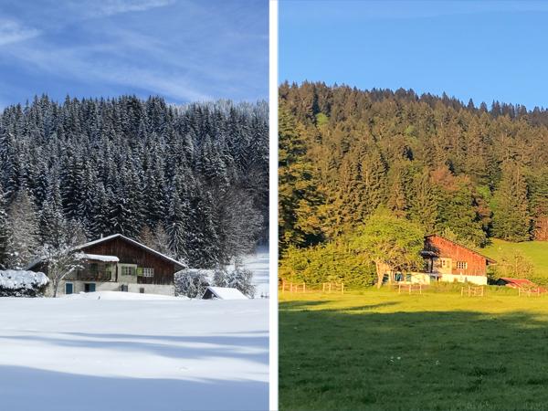 Chalet à vendre à Arâches-la-Frasse (74300) - Haute-Savoie
