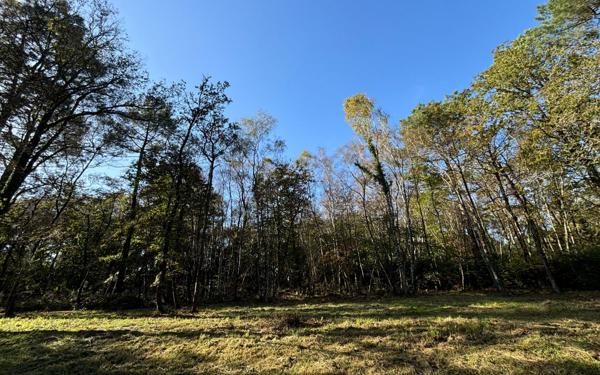 Maison à vendre    4 pièces •  Herbignac