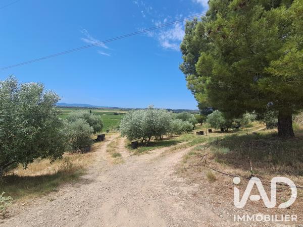Terrain à vendre 4 865 m² Azille