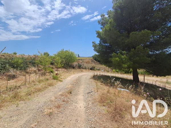 Terrain à vendre 4 865 m² Azille