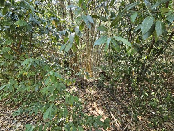 Vente / Terrain de loisirs à Grasse (06130)