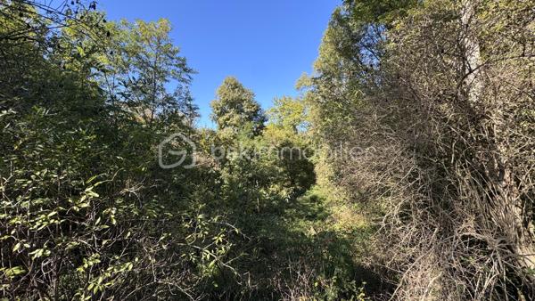 Terrain agricole de 4 130 m²