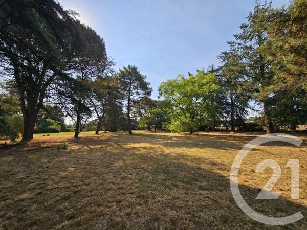 Maison à vendre  6 pièces - 266,41 m 2   GRAULHET  - 81