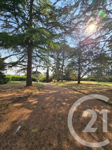 Maison à vendre  6 pièces - 266,41 m 2   GRAULHET  - 81