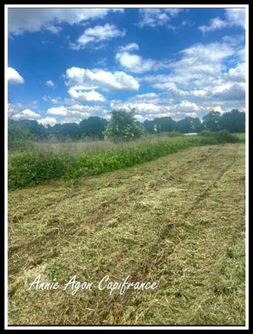 Terrain à vendre (65)