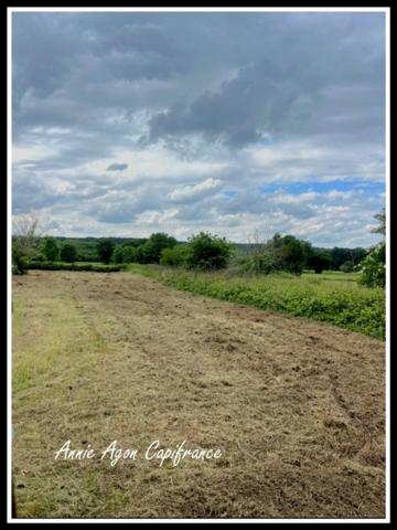 Terrain à vendre (65)