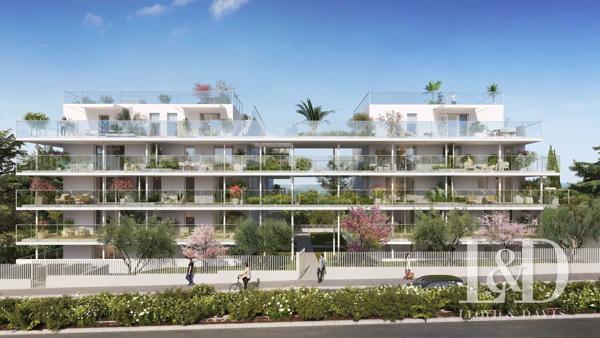 Sur l'étang de Thau