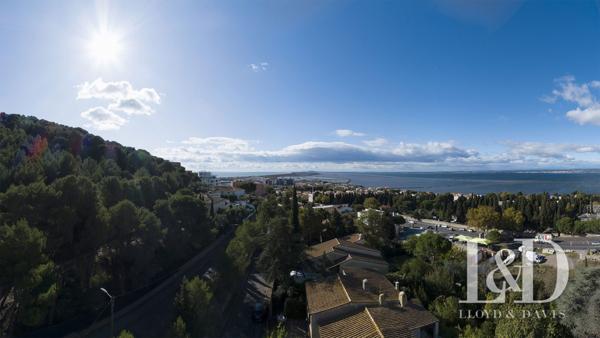 Sur l'étang de Thau