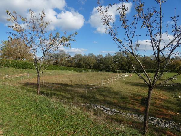Ensemble immobilier de caractère en Dordogne