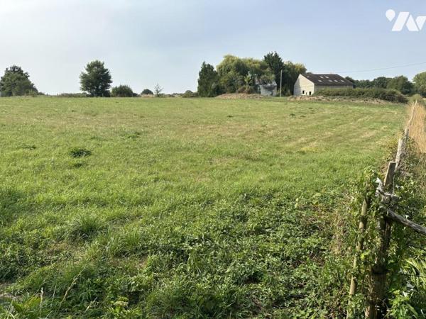 SAINT GERMAIN DE LA COUDRE - MAISON EN CONSTRUCTION SUR DOMAINE DE 2 HECTARES