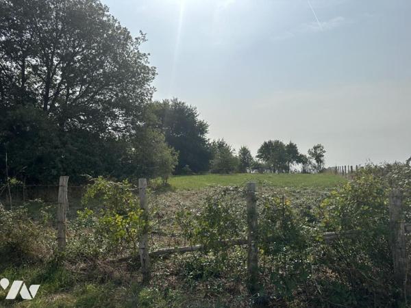 SAINT GERMAIN DE LA COUDRE - MAISON EN CONSTRUCTION SUR DOMAINE DE 2 HECTARES