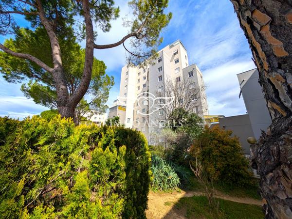 Montpellier – T2 au dernier étage - vue imprenable
