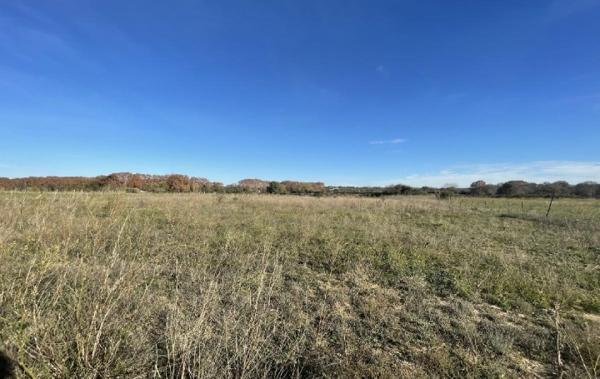 Vente Terrain Aimargues   