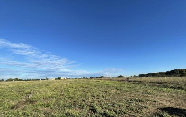 Vente Terrain Aimargues   