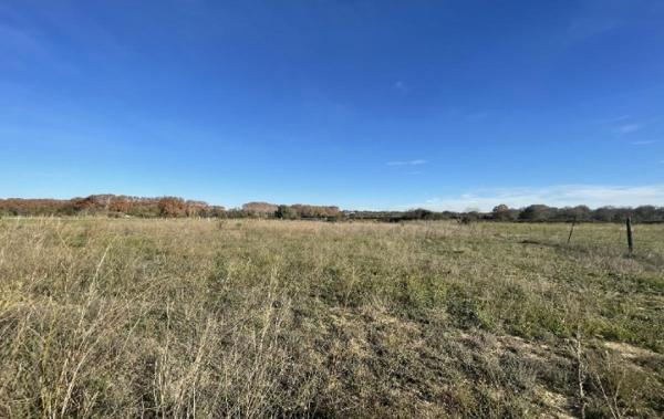 Vente Terrain Aimargues   