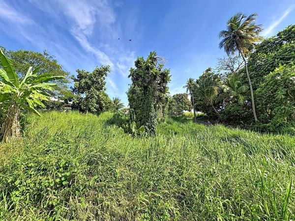 TRINITE : Terrain de 1075 m² au cœur d’un environnement naturel préservé