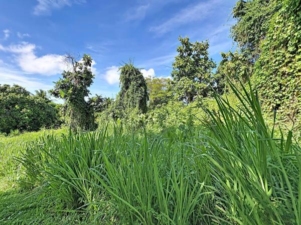 TRINITE : Terrain de 1075 m² au cœur d’un environnement naturel préservé