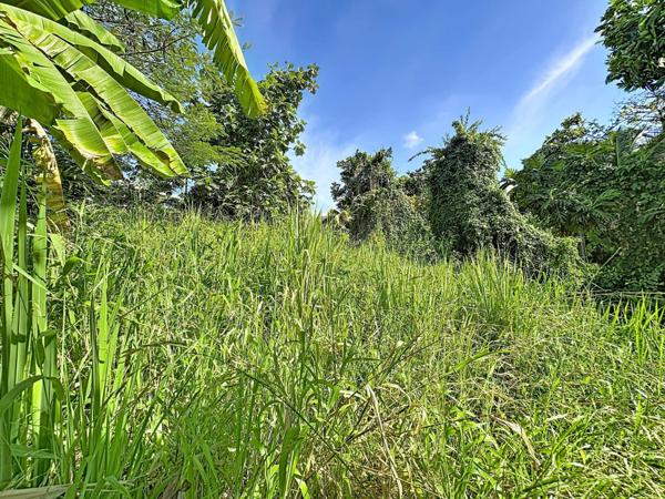 TRINITE : Terrain de 1075 m² au cœur d’un environnement naturel préservé