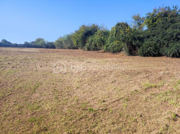Terrain de 2 514 m²