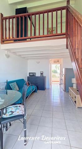 Appartement duplex à vendre 1 pièce SAINT FRANCOIS (971)