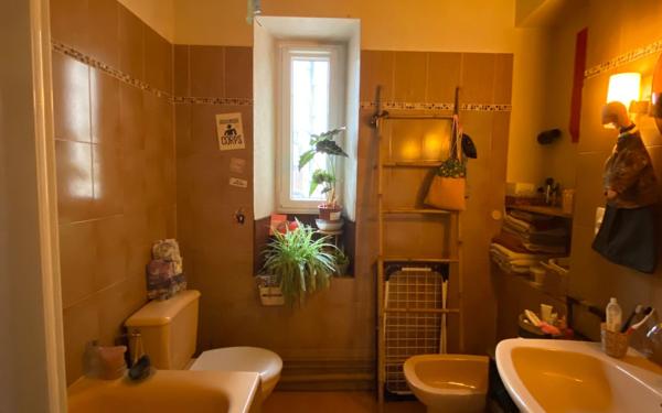 Appartement à louer    1 pièce •  Tours