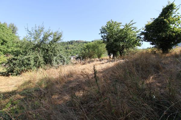 Aux portes des Cévennes St Jean du Bruel vallée de la Dourbie, magnifique terrain constructible + belle grange de 120 m² env sur 2 niveaux. Le terrain constructible est plat en bordure de voirie avec tous les réseaux à proximités, attenant à celui-ci un terrain  légèrement en pente et boisé bordant un petit ruisseau .Superficie de l'ensemble 2900 m² env. 
Votre contact Guy JAYET au 0611566624