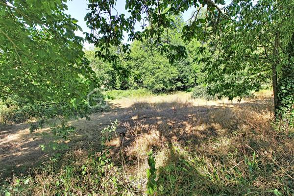Aux portes des Cévennes St Jean du Bruel vallée de la Dourbie, magnifique terrain constructible + belle grange de 120 m² env sur 2 niveaux. Le terrain constructible est plat en bordure de voirie avec tous les réseaux à proximités, attenant à celui-ci un terrain  légèrement en pente et boisé bordant un petit ruisseau .Superficie de l'ensemble 2900 m² env. 
Votre contact Guy JAYET au 0611566624