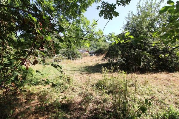 Aux portes des Cévennes St Jean du Bruel vallée de la Dourbie, magnifique terrain constructible + belle grange de 120 m² env sur 2 niveaux. Le terrain constructible est plat en bordure de voirie avec tous les réseaux à proximités, attenant à celui-ci un terrain  légèrement en pente et boisé bordant un petit ruisseau .Superficie de l'ensemble 2900 m² env. 
Votre contact Guy JAYET au 0611566624