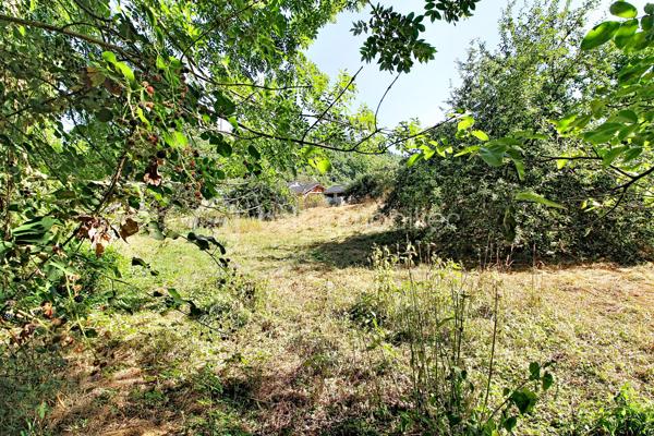 Aux portes des Cévennes St Jean du Bruel vallée de la Dourbie, magnifique terrain constructible + belle grange de 120 m² env sur 2 niveaux. Le terrain constructible est plat en bordure de voirie avec tous les réseaux à proximités, attenant à celui-ci un terrain  légèrement en pente et boisé bordant un petit ruisseau .Superficie de l'ensemble 2900 m² env. 
Votre contact Guy JAYET au 0611566624