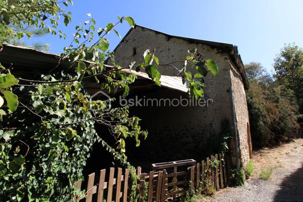 Aux portes des Cévennes St Jean du Bruel vallée de la Dourbie, magnifique terrain constructible + belle grange de 120 m² env sur 2 niveaux. Le terrain constructible est plat en bordure de voirie avec tous les réseaux à proximités, attenant à celui-ci un terrain  légèrement en pente et boisé bordant un petit ruisseau .Superficie de l'ensemble 2900 m² env. 
Votre contact Guy JAYET au 0611566624