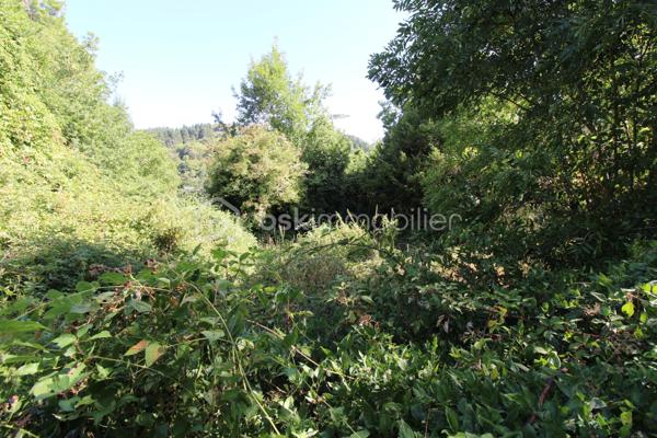 Aux portes des Cévennes St Jean du Bruel vallée de la Dourbie, magnifique terrain constructible + belle grange de 120 m² env sur 2 niveaux. Le terrain constructible est plat en bordure de voirie avec tous les réseaux à proximités, attenant à celui-ci un terrain  légèrement en pente et boisé bordant un petit ruisseau .Superficie de l'ensemble 2900 m² env. 
Votre contact Guy JAYET au 0611566624
