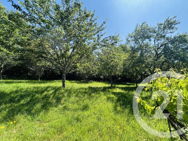 Terrain à vendre  1860 m2 EYJEAUX - 87