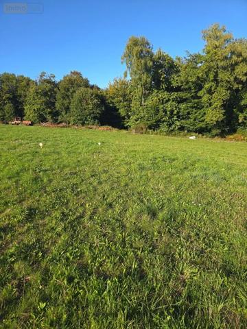 Achat - Terrain à bâtir | Terrain à bâtir Bonnac-la-Côte 87270 1400 m 2