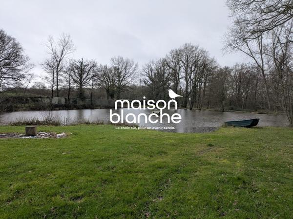 Etang sur terrain avec partie boisée