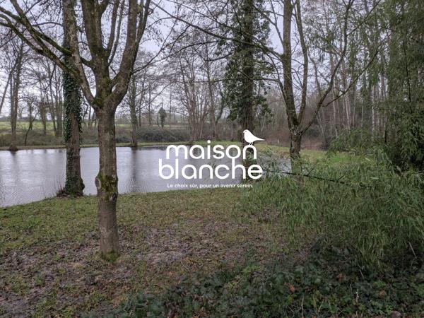 Etang sur terrain avec partie boisée