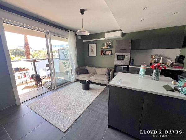 Montpellier Est - T2 terrasse 20m² Sud