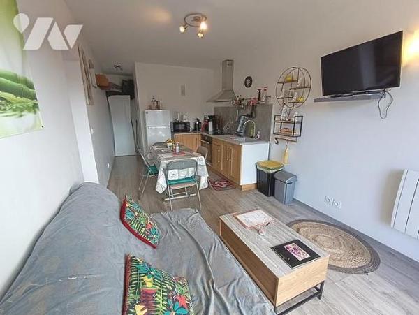 Vente Pavillon T5 + gîte indépendant SEYNE