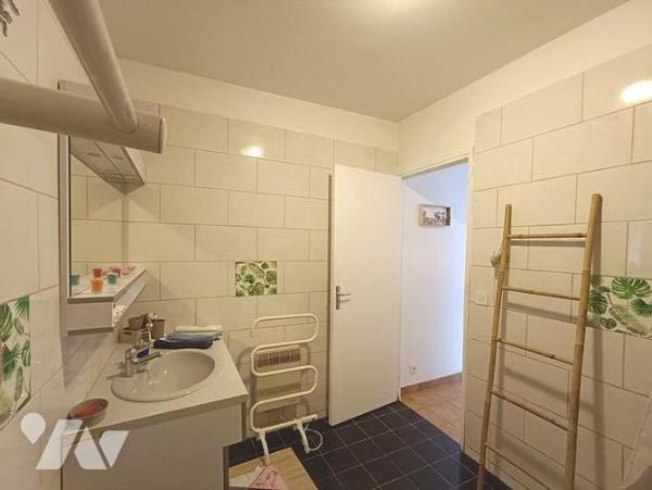 Vente Pavillon T5 + gîte indépendant SEYNE