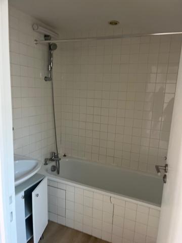 CENTRE-VILLE, JARDIN DES PLANTES