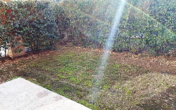 Appartement à louer    3 pièces •  Saint-Jean