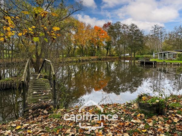 🌿 Terrain de loisirs avec étang – 11 110 m² – Maigné