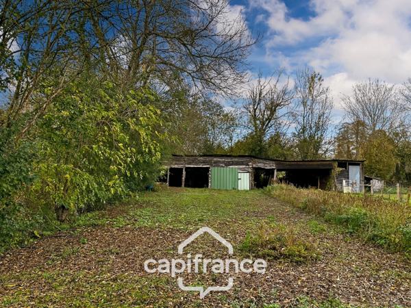 🌿 Terrain de loisirs avec étang – 11 110 m² – Maigné