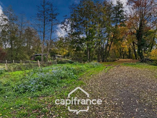 🌿 Terrain de loisirs avec étang – 11 110 m² – Maigné