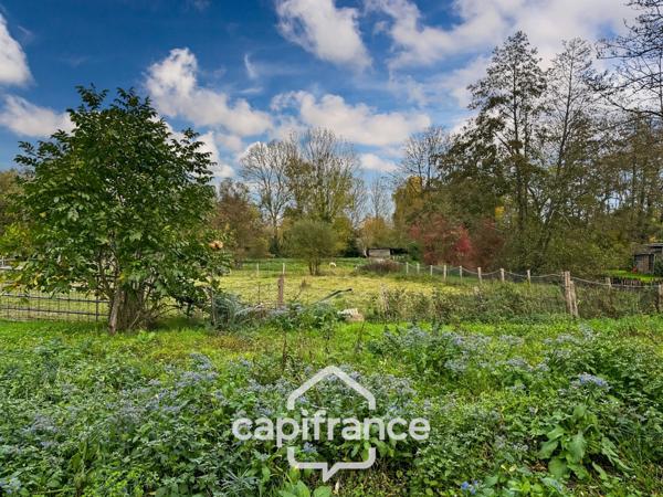 🌿 Terrain de loisirs avec étang – 11 110 m² – Maigné