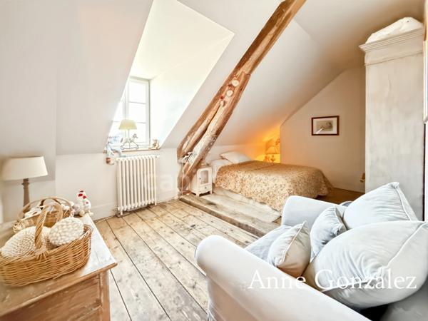 Superbe Maison Bourgeoise rénovée à vendre à CHATEAUNEUF SUR LOIRE centre ville immédiat, parc arboré de 1600m2 à la vue dégagée, dépendance de 90m2 et grand garage