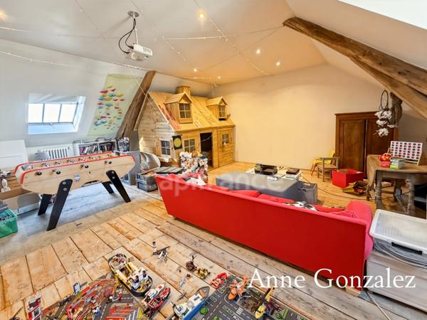 Superbe Maison Bourgeoise rénovée à vendre à CHATEAUNEUF SUR LOIRE centre ville immédiat, parc arboré de 1600m2 à la vue dégagée, dépendance de 90m2 et grand garage