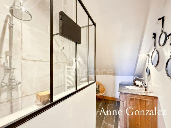 Superbe Maison Bourgeoise rénovée à vendre à CHATEAUNEUF SUR LOIRE centre ville immédiat, parc arboré de 1600m2 à la vue dégagée, dépendance de 90m2 et grand garage