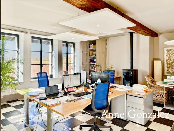 Superbe Maison Bourgeoise rénovée à vendre à CHATEAUNEUF SUR LOIRE centre ville immédiat, parc arboré de 1600m2 à la vue dégagée, dépendance de 90m2 et grand garage