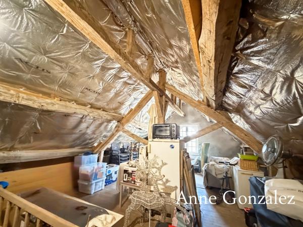 Superbe Maison Bourgeoise rénovée à vendre à CHATEAUNEUF SUR LOIRE centre ville immédiat, parc arboré de 1600m2 à la vue dégagée, dépendance de 90m2 et grand garage