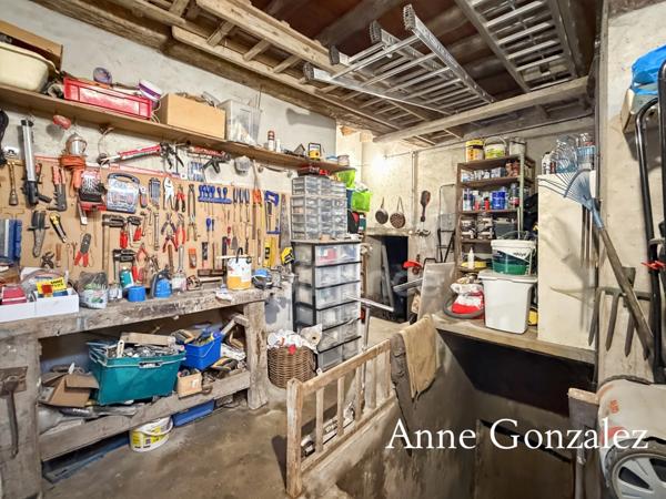 Superbe Maison Bourgeoise rénovée à vendre à CHATEAUNEUF SUR LOIRE centre ville immédiat, parc arboré de 1600m2 à la vue dégagée, dépendance de 90m2 et grand garage